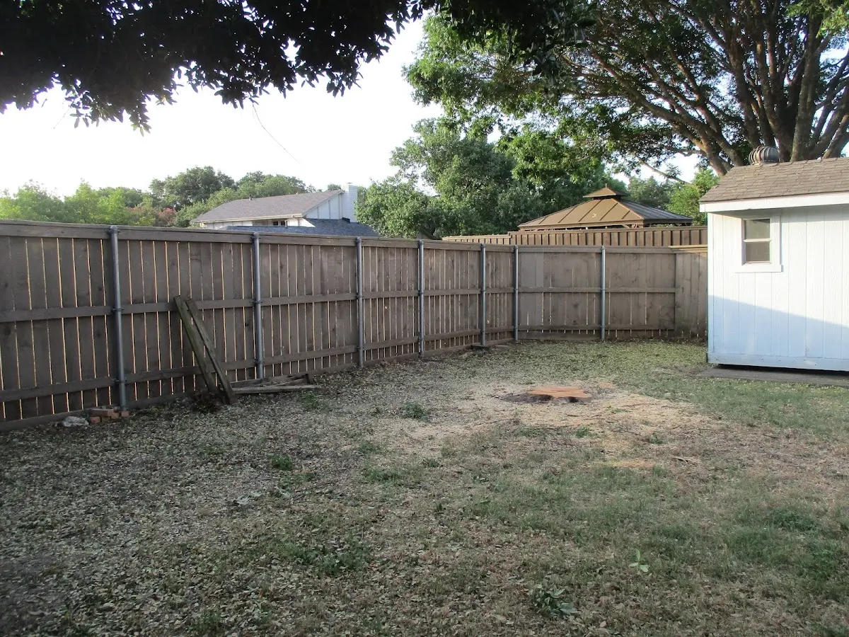 Cleared yard after professional tree removal in Perry Hall